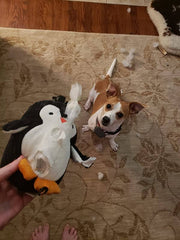 Penguin Ultrasonic, Soft Plush, Chew Resistant