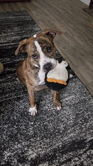 Penguin Ultrasonic, Soft Plush, Chew Resistant