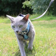 Pet Clever Adventure Harness Leash - US Designed Stock