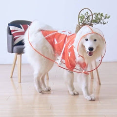 Pet Transparent Raincoat