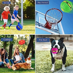 Pet Magic Ball Dog Toy Balls Interactive Herding Decompression