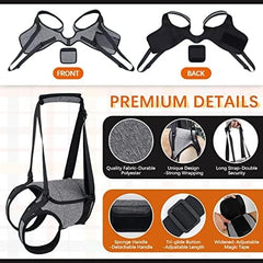 Pet Rear Support Aid Veterinarian Approved Sling for Old Help with Poor Stability