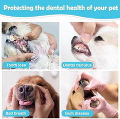 Pet Toothbrush 4 Pack Dog Toothbrush Kit