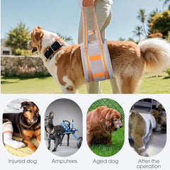 Portable Dog Lift Harness Suitable for 30-130 lbs Dogs with Weak Rear Legs