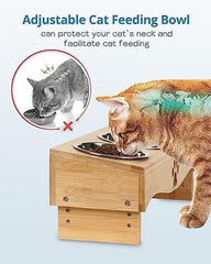 Raised Tilted Cat Bowl Stand Set with 3 Bowl