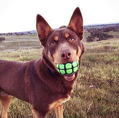 Rubber Funny Ball Gifts for Large Medium Dogs (Variety Pack)