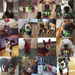 Rubber Funny Ball Gifts for Large Medium Dogs (Variety Pack)