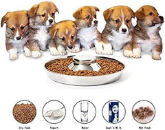 Set of 2 Puppy Feeder Dog Food and Water Bowl
