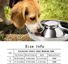 Set of 2 Puppy Feeder Dog Food and Water Bowl
