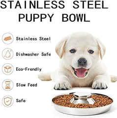Set of 2 Puppy Feeder Dog Food and Water Bowl