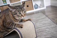 Sisal Angle Ramp Cat Scratcher with Catnip