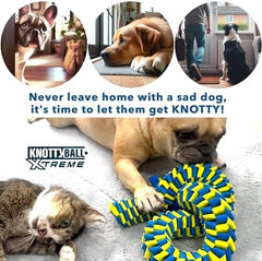 Slow Feeding Dog Enrichment Toys for Training and Stress Relief