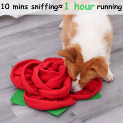 Snuffle Mat for Dogs