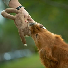 Squeaky Disk & Built-in Rope Dog Plush Toy for Dogs of All Breeds (Sloth)