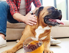 Squeaky Puppy Puzzle Toy for Boredom Slow Feeder