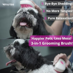 Steam Pet Brush for Shedding & Grooming