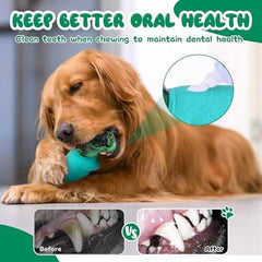 Tough and Durable Chew Toy for Aggressive Chewers