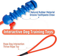 Tough Dog Toys for Aggressive Chewers