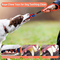 Tough Dog Toys for Aggressive Chewers