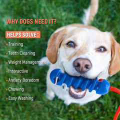 Tough Dog Toys for Aggressive Chewers