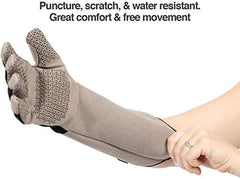 Unisex Multi-purpose Pet Glove Grooming Glove