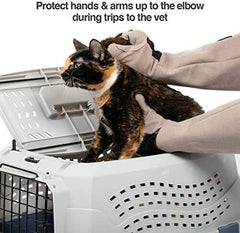 Unisex Multi-purpose Pet Glove Grooming Glove