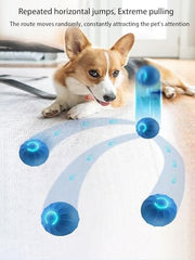 USB Rechargeable Motion-Activated Rolling Toy