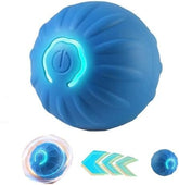 USB Rechargeable Motion-Activated Rolling Toy