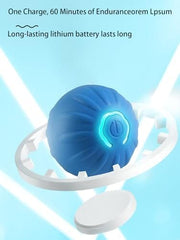 USB Rechargeable Motion-Activated Rolling Toy