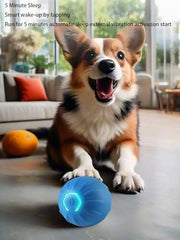 USB Rechargeable Motion-Activated Rolling Toy
