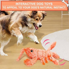 Wiggly Lobster Dog Toy for Boredom