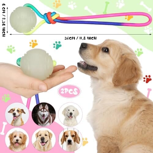 2 Pcs Dog Training Ball on Rope Glow in The Dark Ball