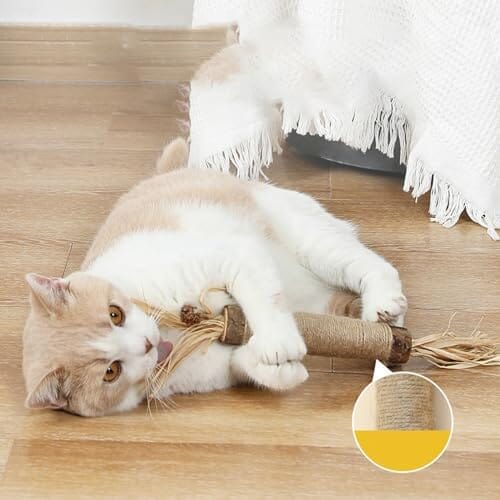 2PCS Extra Large Catnip Chew Toy