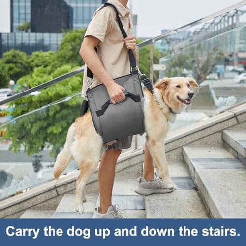 2XL Pet Legs Support & Rehabilitation Dog Lift Harness