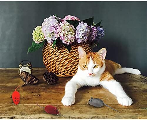 3 Random Colors Soft Small Cat Toys for Indoor Cats