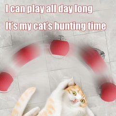 360° Smart Automatic Rolling Pet Ball