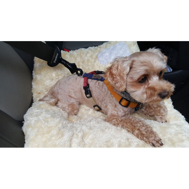 Pet Car Safety Buckle Holder