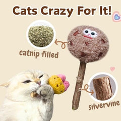 4 Pack Catnip & Silvervine Lollipops
