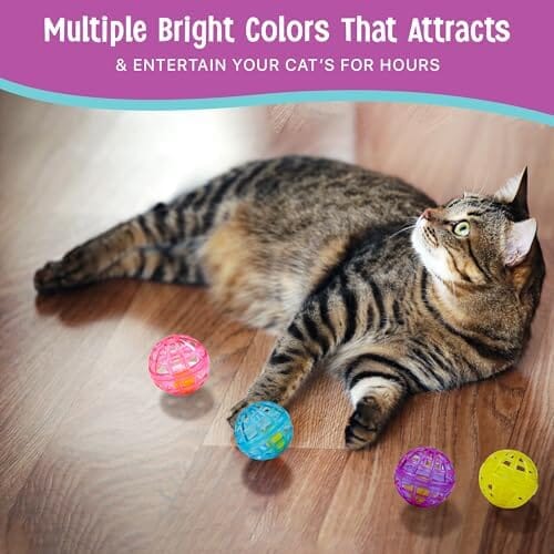4 pcs Colorful Toys to Entertain Indoor Cats and Kittens