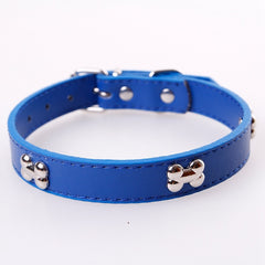 Beautiful Pet Collar Tag