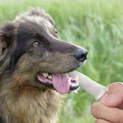5pcs Organic Cotton Dental Finger Brush for Pets
