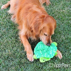 6-Squeaker Plush Dog Toy - Slowpoke The Turtle