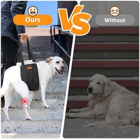 Adjustable Dog Lift Harness Dog Sling for Large Dogs