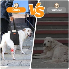 Adjustable Dog Lift Harness Dog Sling for Large Dogs