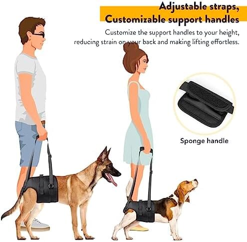 Adjustable Sling Support for Large Dogs Hind Legs, Mobility Aid for Elderly Dogs