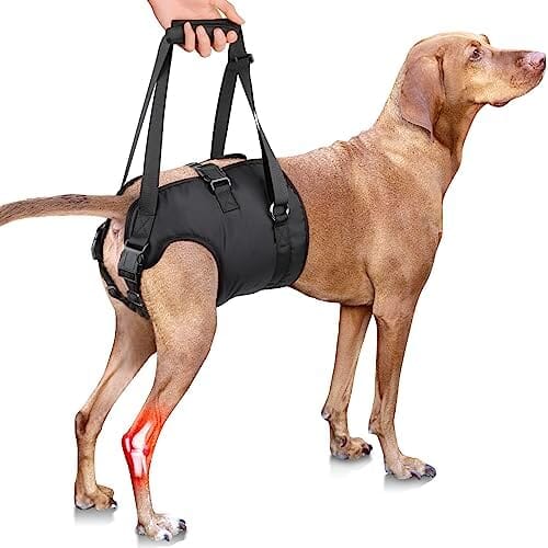 Adjustable Sling Support for Large Dogs Hind Legs, Mobility Aid for Elderly Dogs
