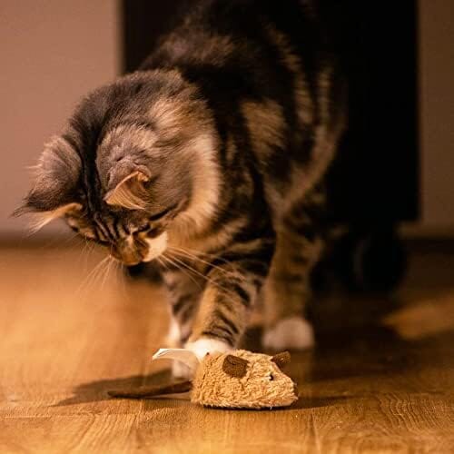 Automatic Moving Kitten Toys Electric Mice Toy Self Play Exercise