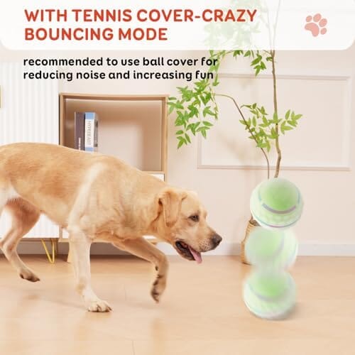 Automatic Rolling Dog Balls with Silicone Cover