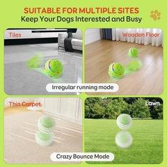Automatic Rolling Dog Balls with Silicone Cover