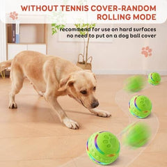 Automatic Rolling Dog Balls with Silicone Cover
